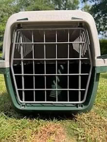 Photo of free Pet Carrier (Balcombe RH17) #1