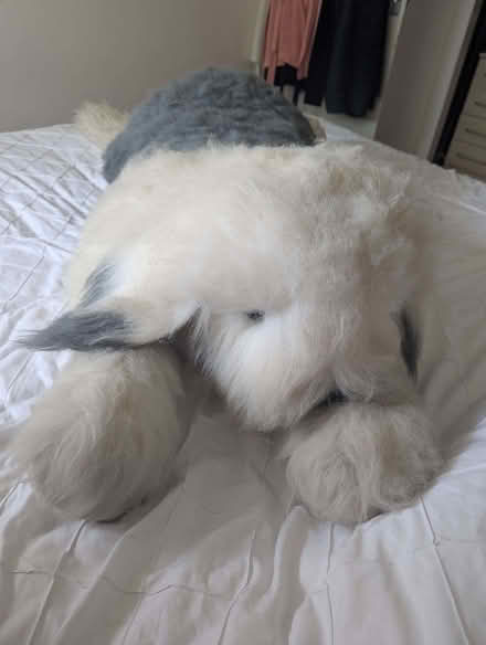 Photo of free Giant English Sheepdog Plushie (New Barnet EN4) #1