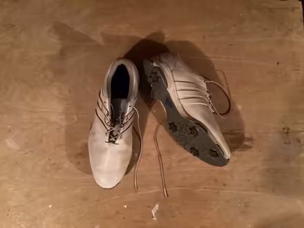 Photo of free Men’s size 11 golf shoes (Catonsville near old EC) #1