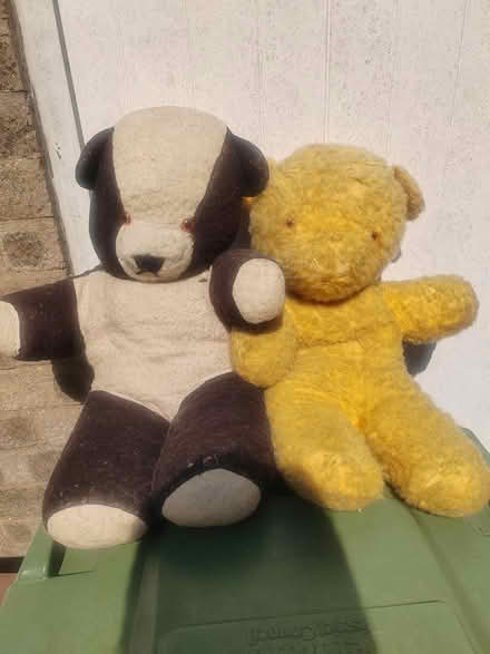 Photo of free 2 vintage teddies (Whittlesey) #1