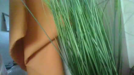 Photo of free Artificial flowers and grass (BA2) #3
