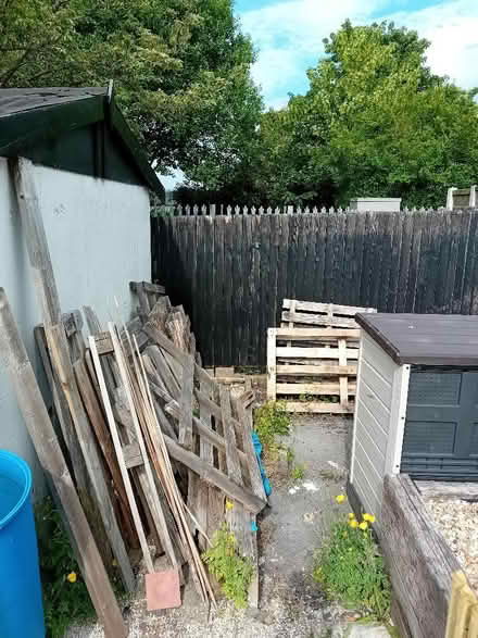 Photo of free Old pallets (Oxford ST6) #3