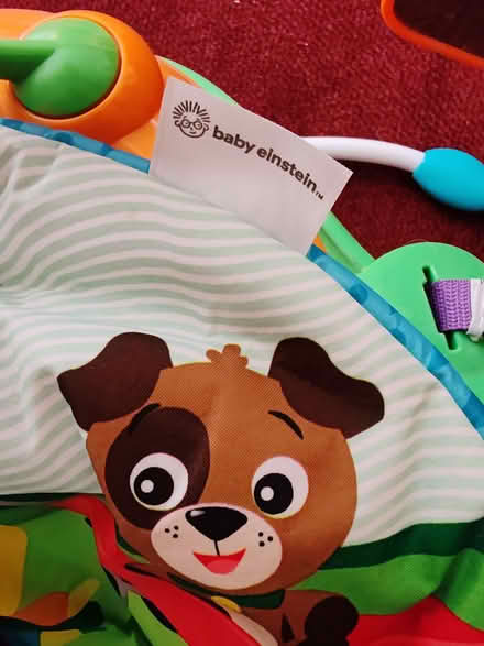 Photo of free Jumparoo Bouncer (Southsea PO4) #2