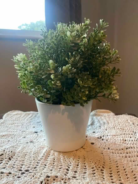 Photo of free Fake plants in pots (New Malden KT3) #2