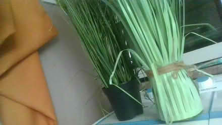 Photo of free Artificial flowers and grass (BA2) #1