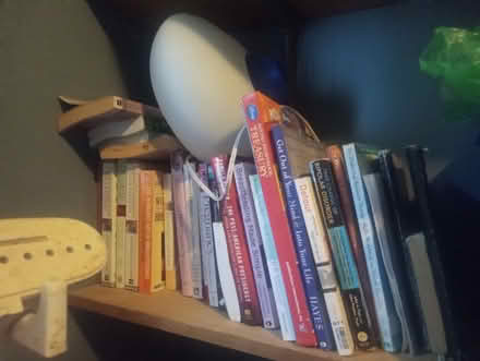 Photo of free Moving, Everything (Kensington, Brooklyn) #4