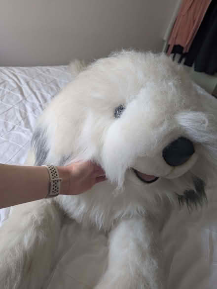 Photo of free Giant English Sheepdog Plushie (New Barnet EN4) #2