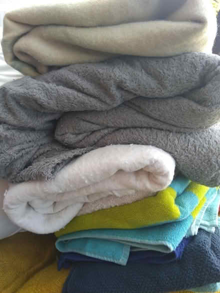 Photo of free Blankets And Towels (Leighton buzzard LU7) #1