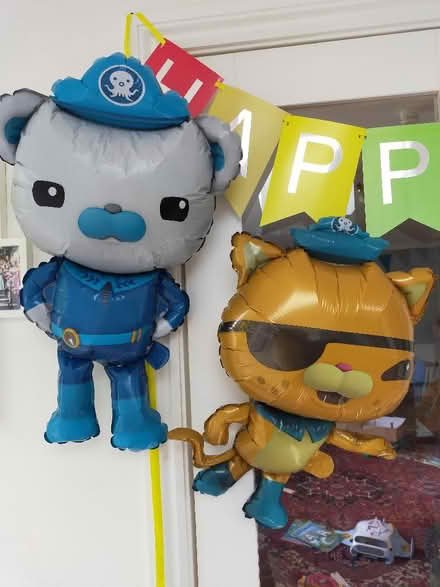 Photo of free Octonaut Balloons (University of Bath) #1