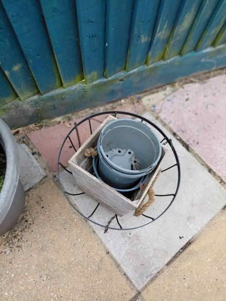 Photo of free Flower pots (Bexhill-on-Sea) #1