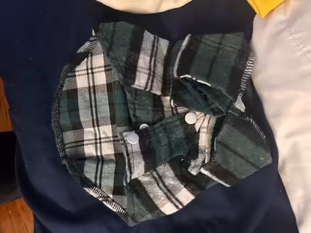 Photo of free Doggy raincoat and sweaters (Wood-Ridge) #3