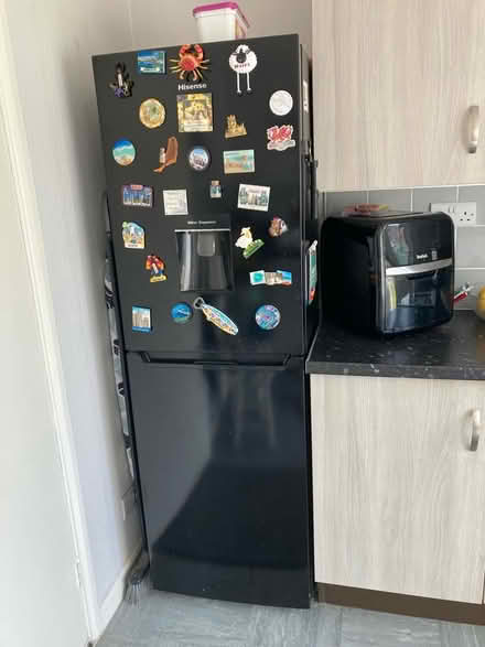 Photo of free Fridge freezer (Wellington TF1) #1