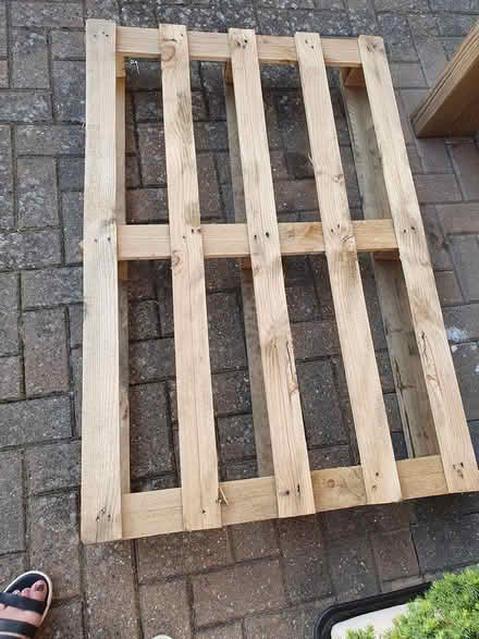 Photo of free Pallet (Allington ME16) #1