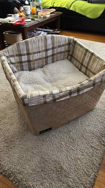 Photo of free Solvit Safety Dog Booster Seat (Bentleigh East) #1