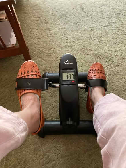 Photo of free Pedal exerciser (Park-Monroe Neighborhood) #1