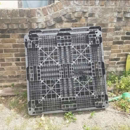 Photo of Plastic pallets (SS8 Canvey island) #1