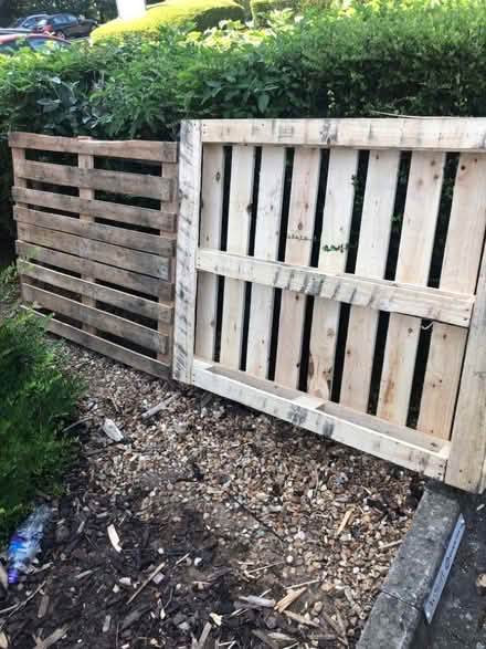 Photo of free Pallets (Priory Business Park MK44) #1