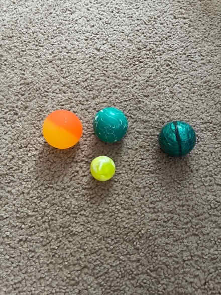 Photo of free Bouncy balls (Annapolis) #1