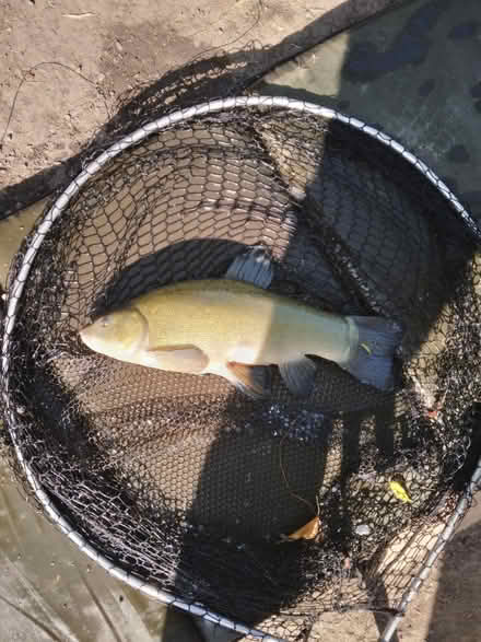 Photo of Fishing tackle (GL1) #1