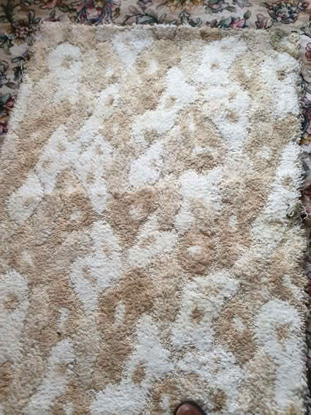 Photo of free Carpet Remnant (Shelton Lock DE73) #1