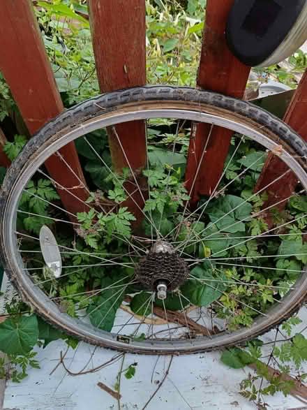 Photo of free Rear bicycle wheel (Barbourne WR3) #1
