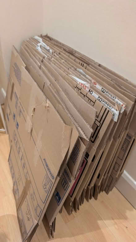 Photo of free Large moving boxes (N4 3EN) #1