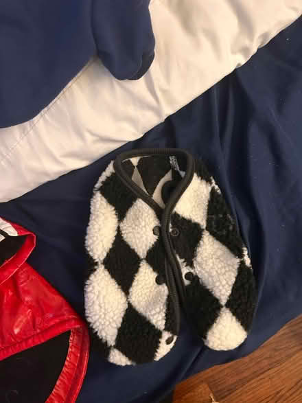Photo of free Doggie coats, sweaters (Wood-Ridge) #2