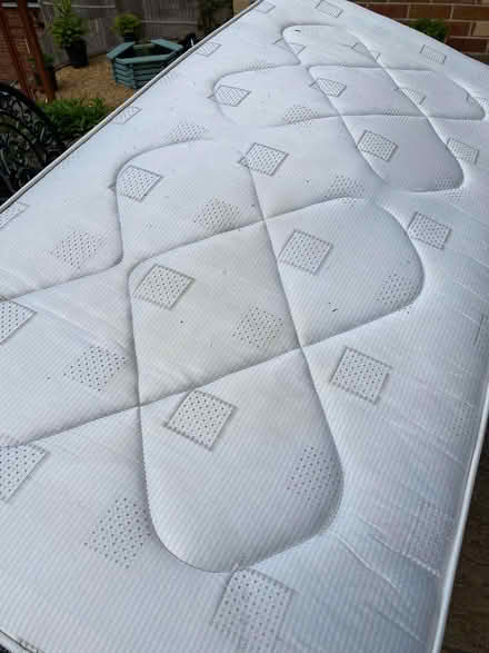 Photo of free Single Bed (The Knapp GL5) #2