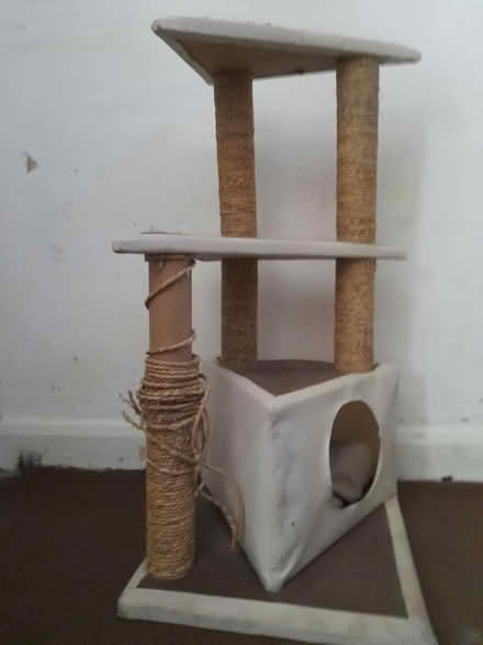 Photo of free Cat scratcher stand (M19, Manchester) #1