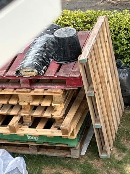 Photo of free 6 pallets (Richmond) #1