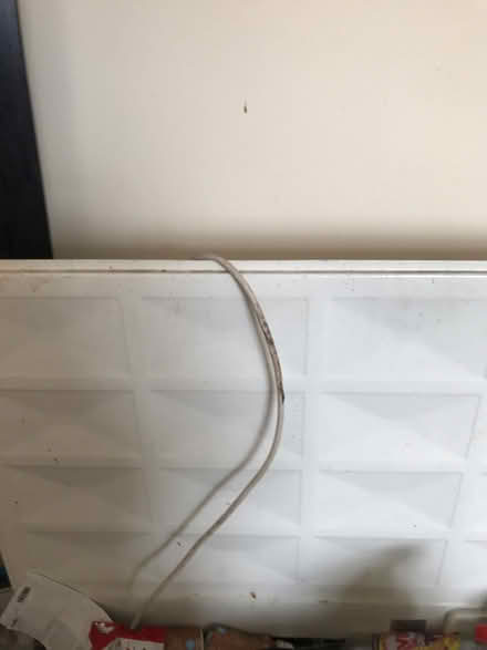 Photo of free Electric radiator (Liverpool) #1