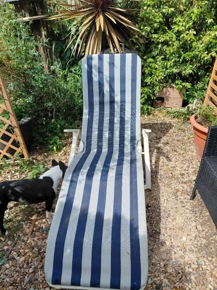 Photo of free Sun louger (Bexhill-on-Sea) #2