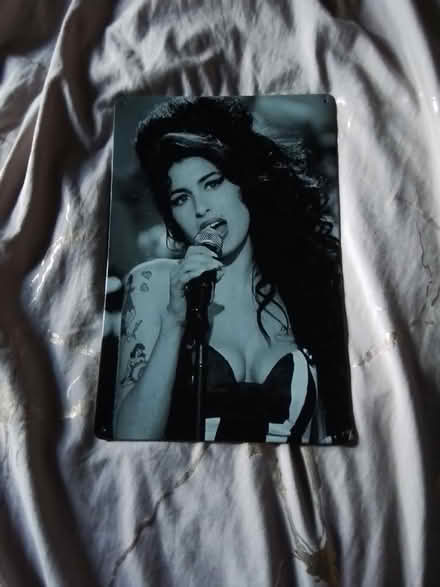 Photo of free Amy Winehouse Metal Picture (Granton EH5) #1