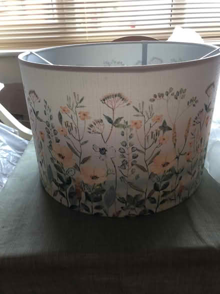 Photo of free Lampshade (Admaston telford) #1
