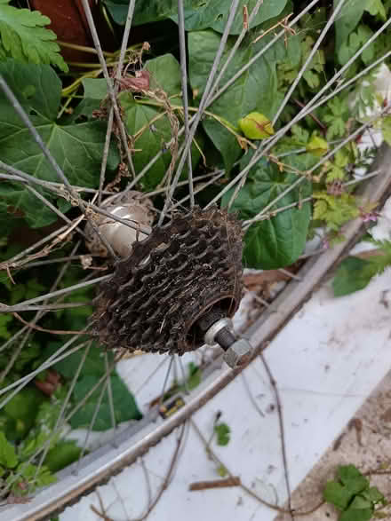 Photo of free Rear bicycle wheel (Barbourne WR3) #2
