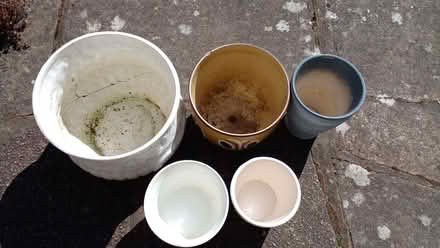 Photo of free Plant pots (HA9) #1