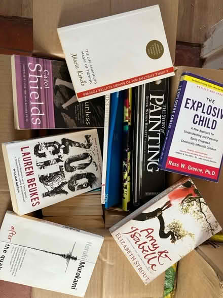 Photo of free 5 boxes of assorted books (NR4) #3