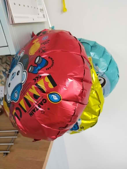 Photo of free Octonaut Balloons (University of Bath) #3