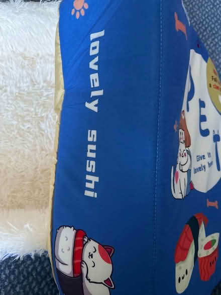 Photo of free Cat bed (Ashford TW15) #3