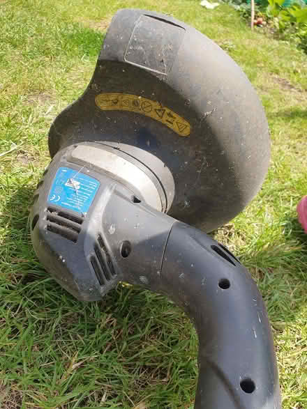 Photo of free Strimmer (Odd Down) #2