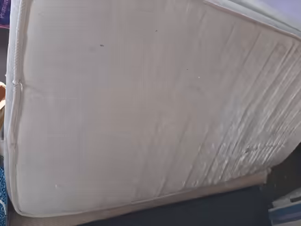 Photo of free Single mattress buyer collects (Goring-by-Sea BN12) #1