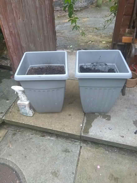 Photo of free 2 tall grey plant pots (Wallasey CH44) #1