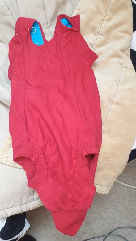 Photo of free Cat/kitten suit for post-spaying (Hove Green BN3) #1