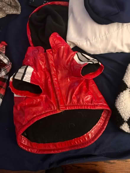 Photo of free Doggie coats, sweaters (Wood-Ridge) #1