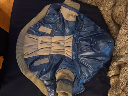 Photo of free Doggy raincoat and sweaters (Wood-Ridge) #1