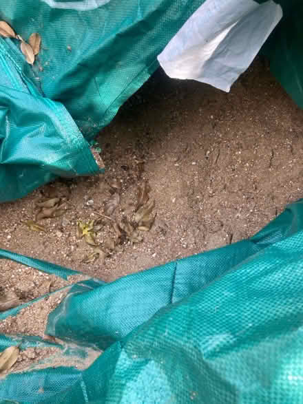 Photo of free Building sand/gravel (Sidcup) #2