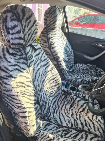 Photo of free Fake fur car seat covers (BS5) #1