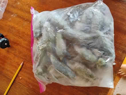 Photo of free Bag of frozen peppers (Fremont/Greenwood) #1