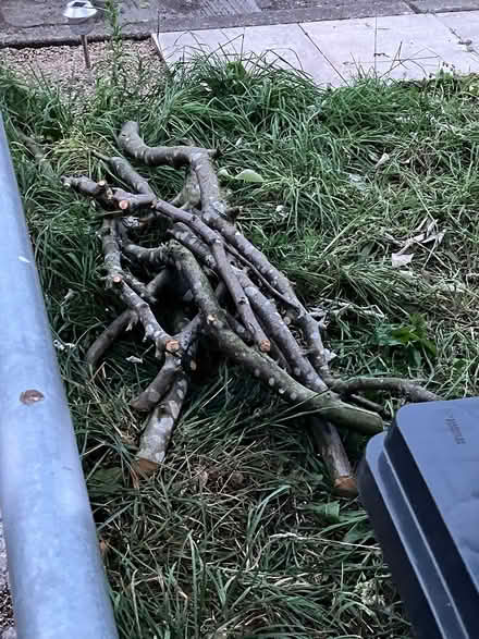 Photo of free Tree branches (Belle Isle, LS10) #2