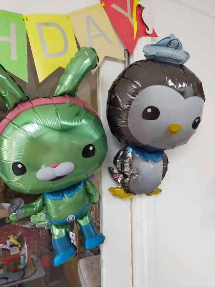 Photo of free Octonaut Balloons (University of Bath) #2